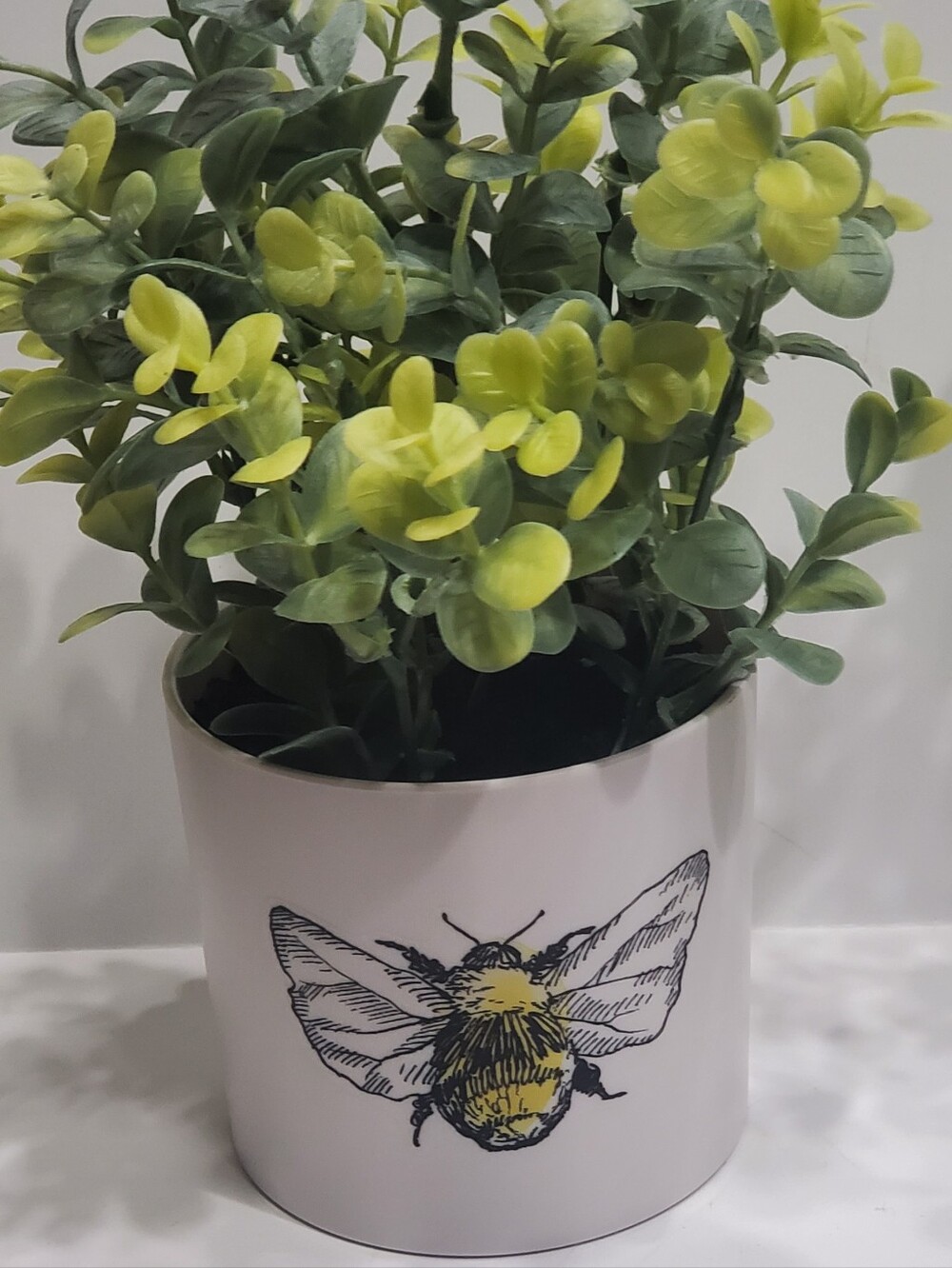 Light Up Plant - Picture 14 of 16